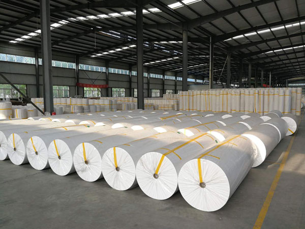 绥棱狭缝式涤纶纺粘无纺布